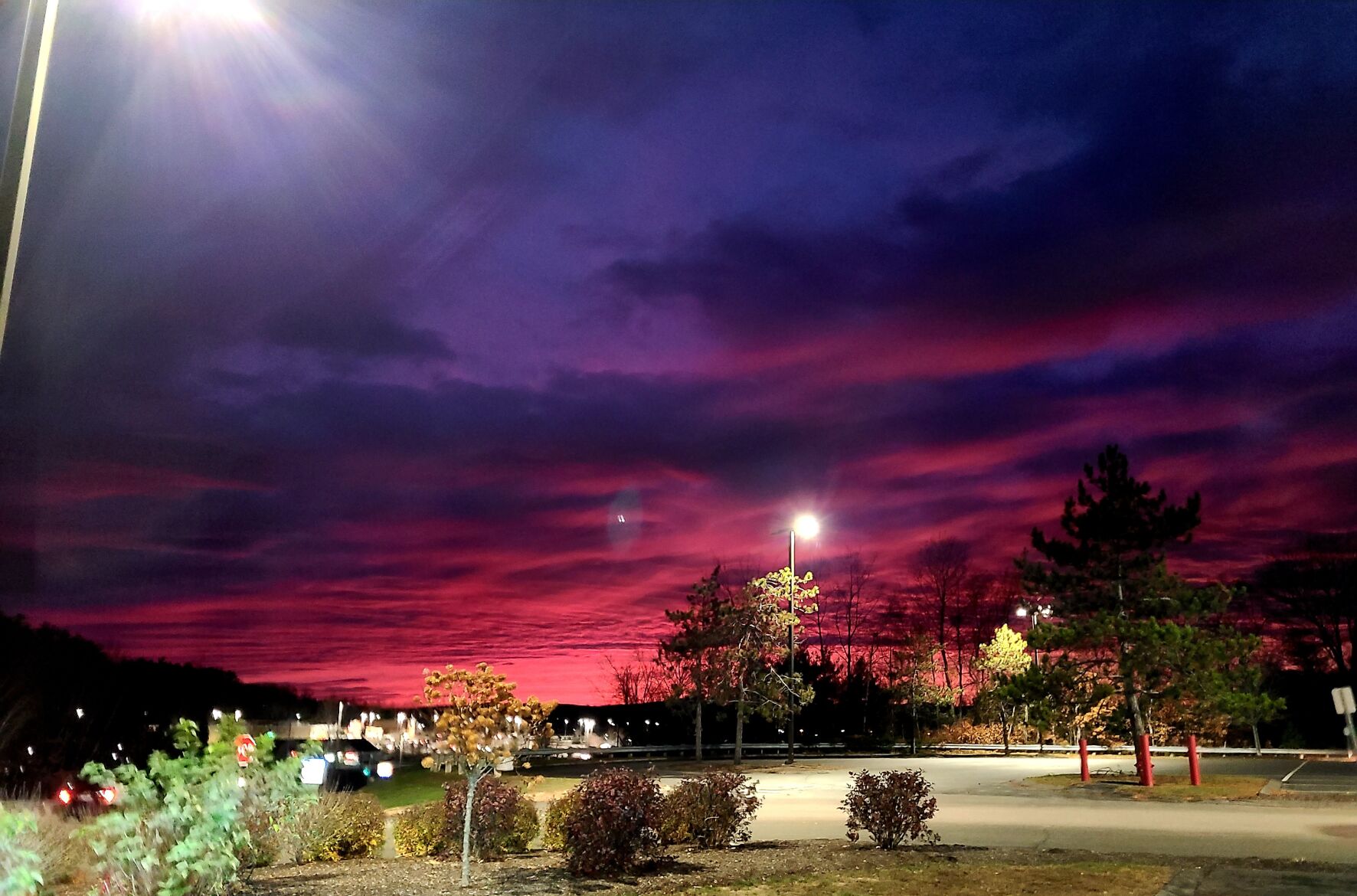 Reader Pics: Nov. 17